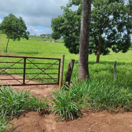 rural-fazenda-bebedouro-ii-e-vereda-sao-joao-da-ponte-mg-cep-39430-000