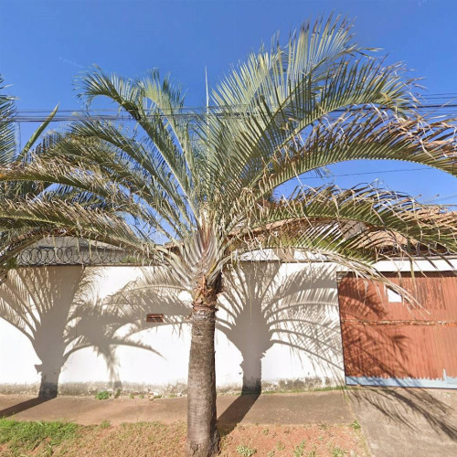 casa-67m2-rua-visconde-de-barbacena-casa-no-03-condominio-residencial-naldo-iii-null-recanto-dos-emboabas-aparecida-de-goiania-go-cep-74910-320