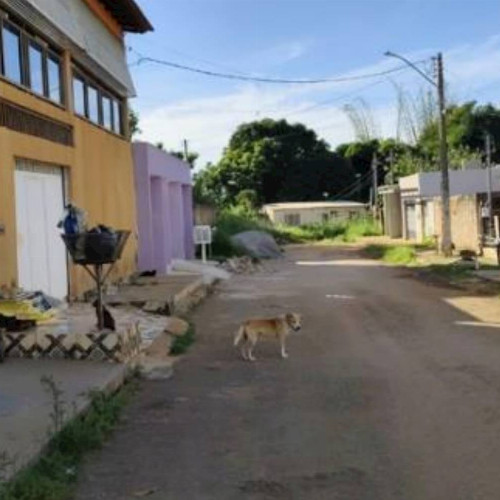 casa-157-ha-124-alq-rua-13-lote-22-quadra-25-loteamento-jardim-dos-pinheiros-jardim-pinheiros-aguas-lindas-de-goias-go-cep-72910-001