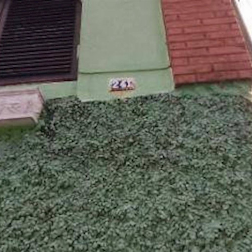 casa-194-ha-7700m2-rua-emilio-barbosa-241-null-null-vila-prudente-sao-paulo-sp-cep-03135-040