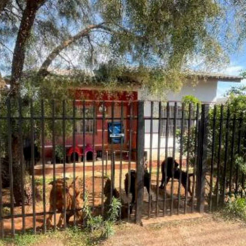 casa-5600m2-18-ha-rua-edson-bertao-412-loteamento-vila-santa-rita-passo-fundo-rs-cep-99066-070