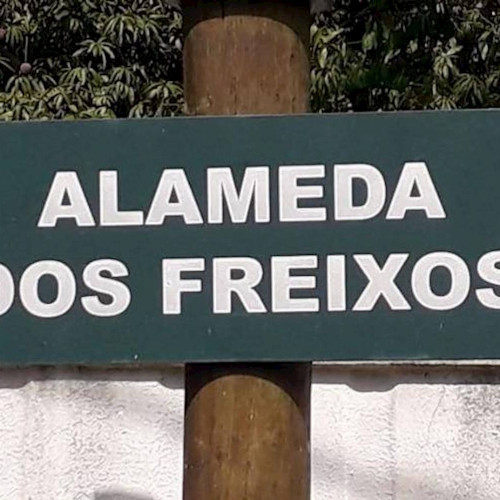 casa-225-alq-2243-alq-alameda-dos-freixos-30-lote-21-quadra-h-loteamento-sitios-alto-da-nova-campinas-sitios-alto-da-nova-campinas-campinas-sp-cep-13101-710
