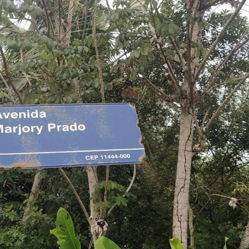casa-101-alq-239-alq-rua-3-83-associacao-dos-proprietarios-do-jardim-pernambuco-lote-07-quadra-03-jardim-pernambuco-i-guaruja-sp-cep-11444-610