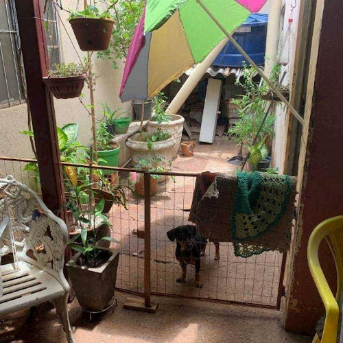 casa-5214m2-2-ha-rua-minerva-369-loteamento-parque-residencial-maria-aparecida-pedrossian-campo-grande-ms-cep-79044-440