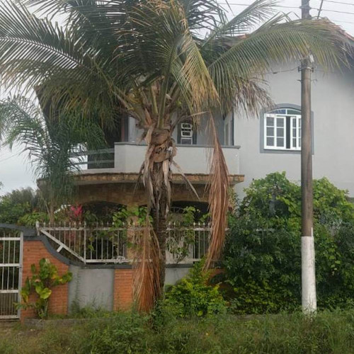 casa-319m2-783m2-avenida-coronel-benedito-albuquerque-485-parque-balneario-oasis-peruibe-sp-cep-11750-000