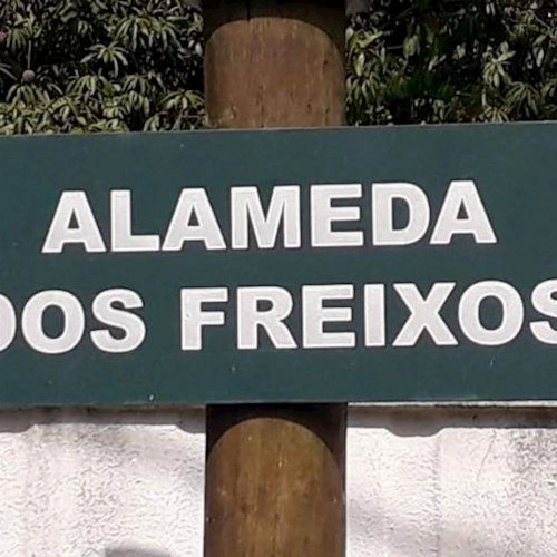 casa-225-alq-2243-alq-alameda-dos-freixos-30-lote-21-quadra-h-loteamento-sitios-alto-da-nova-campinas-sitios-alto-da-nova-campinas-campinas-sp-cep-13101-710_7674