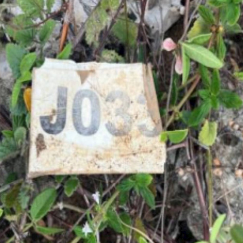 terreno-14-ha-estrada-vicinal-lote-33-quadra-j-registro-feira-de-santana-ba-cep-44000-001