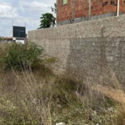 terreno-14-ha-estrada-vicinal-bairro-registro-registro-feira-de-santana-ba-cep-44000-001
