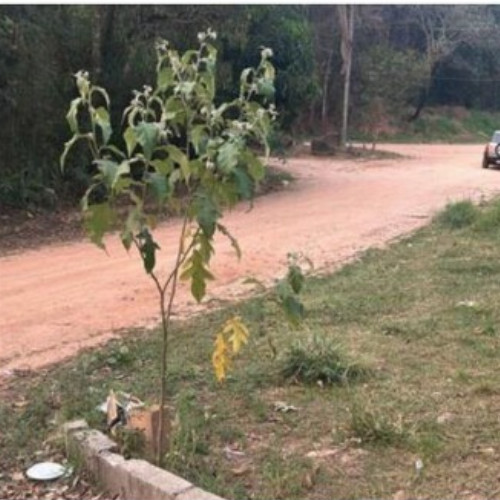 casa-149-ha-413-alq-rua-nove-114-lote-22-quadra-d-do-loteamento-recanto-da-prata-ivoturucaia-jundiai-sp-cep-13200-001