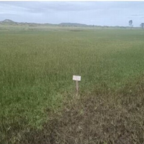 terreno-156-alq-avenida-q-lote-03-e-04-quadra-85-vila-rica-do-abais-itaporanga-dajuda-se-cep-49120-000
