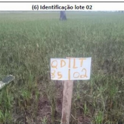 terreno-161-alq-avenida-q-lote-01-e-02-quadra-85-vila-rica-do-abais-itaporanga-dajuda-se-cep-49120-000