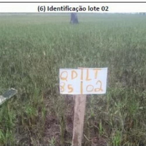terreno-161-alq-avenida-q-lote-01-e-02-quadra-85-vila-rica-do-abais-itaporanga-dajuda-se-cep-49120-000