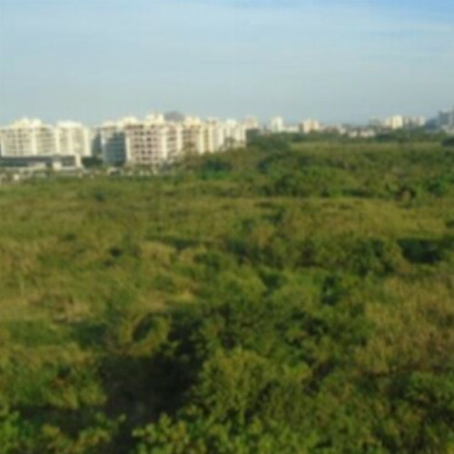 terreno-4431-alq-avenida-tim-maia-7600-lote-20-recreio-dos-bandeirantes-rio-de-janeiro-rj-cep-22790-669