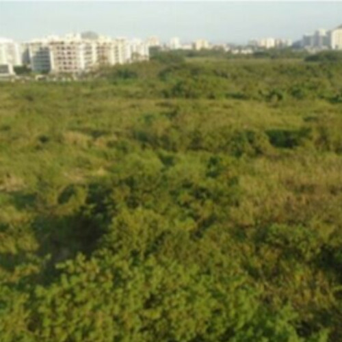 terreno-4431-alq-avenida-tim-maia-7600-lote-20-recreio-dos-bandeirantes-rio-de-janeiro-rj-cep-22790-669