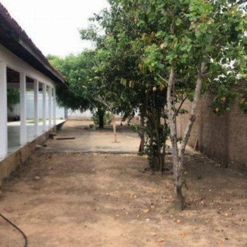 casa-168-ha-787-alq-rua-15-de-novembro-null-null-centro-sambaiba-ma-cep-65945-000