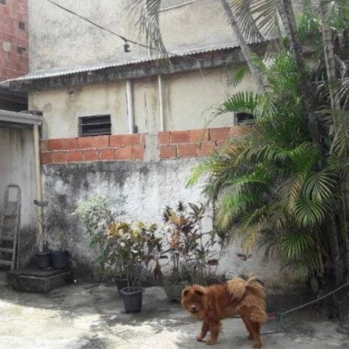 casa-9318m2-107-alq-rua-mangaratiba-321-casa-09-vila-sao-joao-sao-joao-de-meriti-rj-cep-25570-253