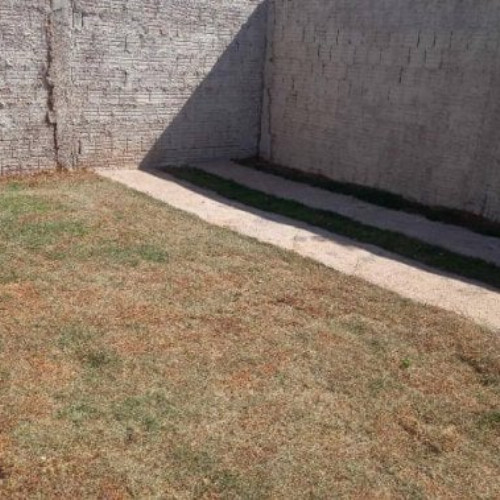 casa-6824m2-138-alq-avenida-roseira-1853-null-null-parque-residencial-dos-girassois-campo-grande-ms-cep-79091-848