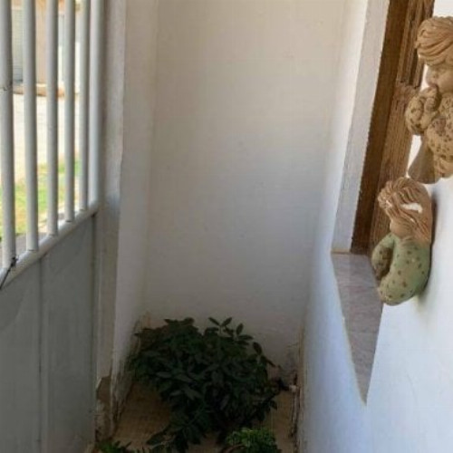 casa-5615m2-6216m2-rua-antonio-cardoso-dourado-117-null-null-recanto-das-arvores-irece-ba-cep-44900-000_10387