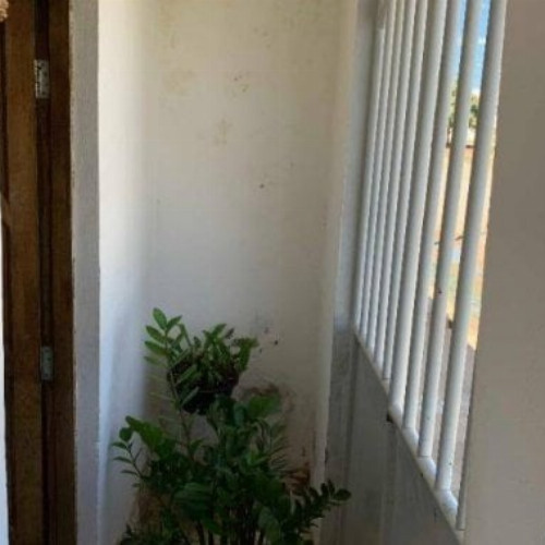 casa-5615m2-6216m2-rua-antonio-cardoso-dourado-117-null-null-recanto-das-arvores-irece-ba-cep-44900-000_10387