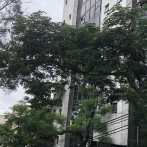 sala-176-alq-222-alq-rua-ouro-fino-395-edificio-dumont-pereira-edificio-dumont-pereira-cruzeiro-belo-horizonte-mg-cep-30310-110