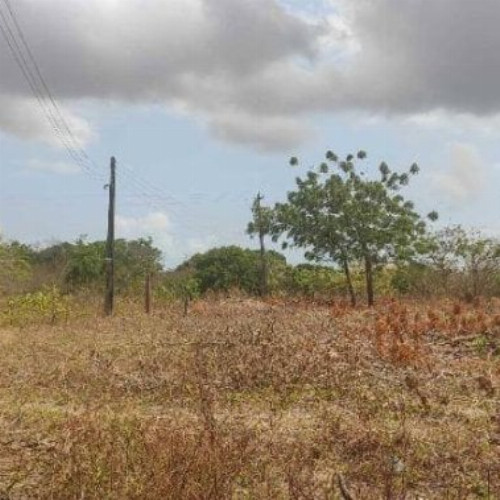 terreno-783m2-rua-coronel-correia-acesso-pela-rodovia-estruturante-nao-informado-centro-caucaia-ce-cep-61600-001