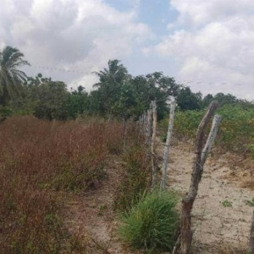 terreno-783m2-rua-coronel-correia-acesso-pela-rodovia-estruturante-nao-informado-centro-caucaia-ce-cep-61600-001