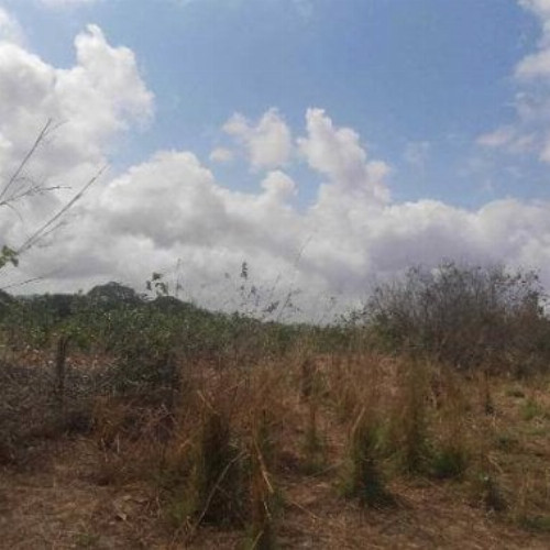 terreno-783m2-rua-coronel-correia-acesso-pela-rodovia-estruturante-nao-informado-centro-caucaia-ce-cep-61600-001