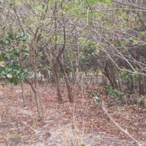 terreno-783m2-rua-coronel-correia-acesso-pela-rodovia-estruturante-nao-informado-centro-caucaia-ce-cep-61600-001