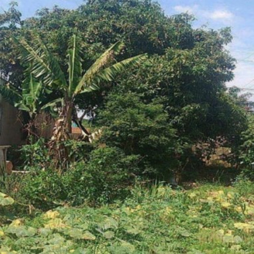 terreno-320m2-rua-antonio-sanches-lopes-jardim-aclimacao-sumare-sp-cep-13170-001