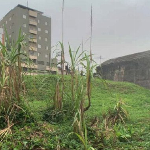 terreno-9396m2-rua-dr-antonio-jorge-franco-nao-informado-nao-informado-assuncao-sao-bernardo-do-campo-sp-cep-09810-080