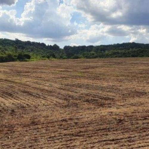 rural-17608-alq-rodovia-pr-317-12052-null-null-parque-industrial-maringa-pr-cep-87065-005