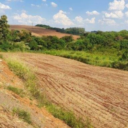 rural-17608-alq-rodovia-pr-317-12052-null-null-parque-industrial-maringa-pr-cep-87065-005