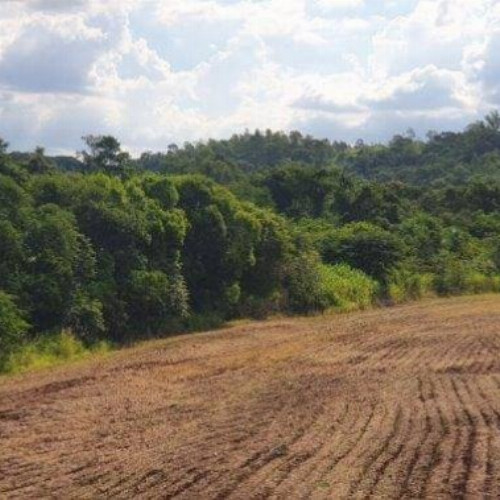 rural-17608-alq-rodovia-pr-317-12052-null-null-parque-industrial-maringa-pr-cep-87065-005