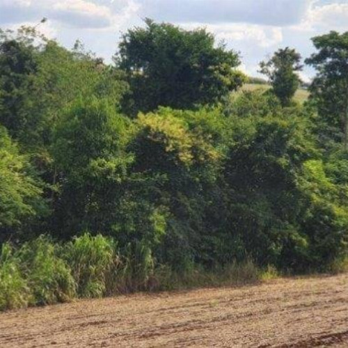 rural-17608-alq-rodovia-pr-317-12052-null-null-parque-industrial-maringa-pr-cep-87065-005