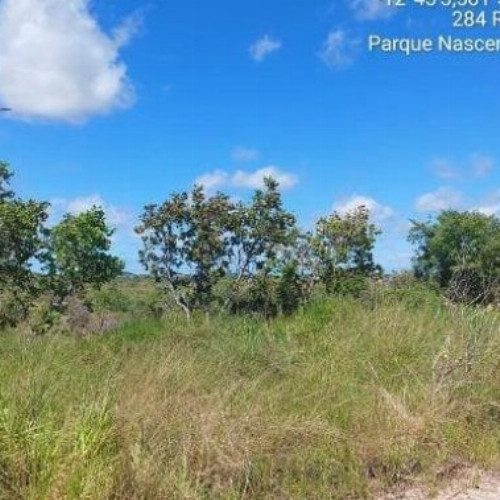 terreno-2156-alq-4357-alq-loteamento-parque-nascente-do-capivara-sn-null-null-espaco-alpha-camacari-ba-cep-42800-001