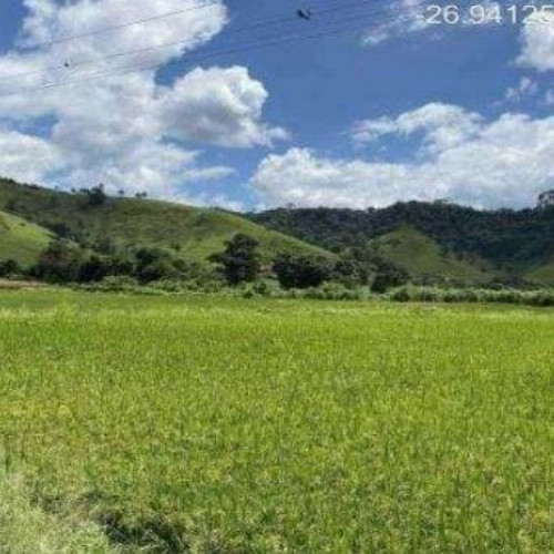 outros-89256-alq-estrada-vicinal-da-rua-29-de-dezembro-nao-informado-zona-rural-rio-do-campo-sc-cep-89198-000