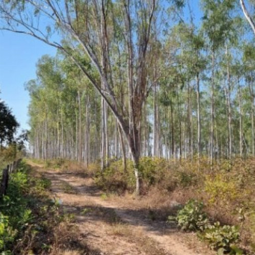 terreno-2354-alq-lote-de-terreno-urbano-nao-especificado-nao-aplicavel-sao-goncalo-varzea-grande-mt-cep-78110-001