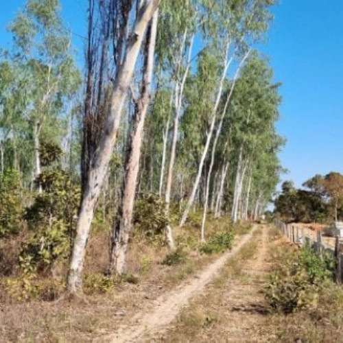 terreno-2354-alq-lote-de-terreno-urbano-nao-especificado-nao-aplicavel-sao-goncalo-varzea-grande-mt-cep-78110-001