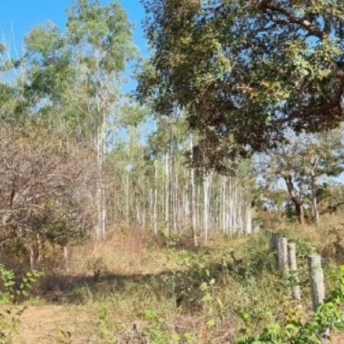 terreno-2354-alq-lote-de-terreno-urbano-nao-especificado-nao-aplicavel-sao-goncalo-varzea-grande-mt-cep-78110-001