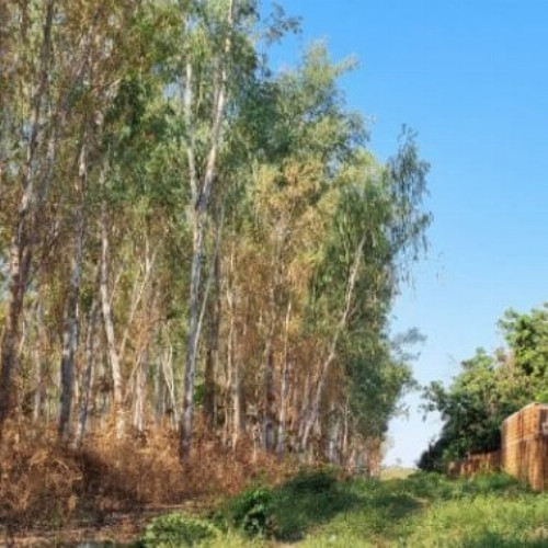 terreno-2354-alq-lote-de-terreno-urbano-nao-especificado-nao-aplicavel-sao-goncalo-varzea-grande-mt-cep-78110-001