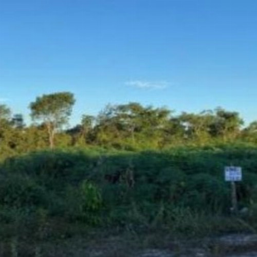 terreno-207-alq-avenida-principal-parque-moises-amorim-chapadinha-ma-cep-65500-000