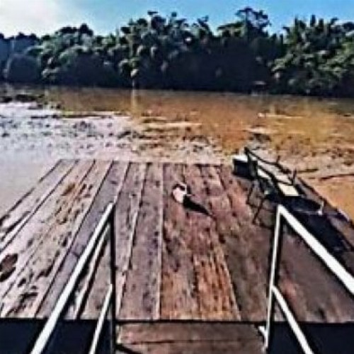 rural-119-ha-margem-rio-taquari-nao-informado-nao-informado-aldeia-do-pescador-coxim-ms-cep-79400-000
