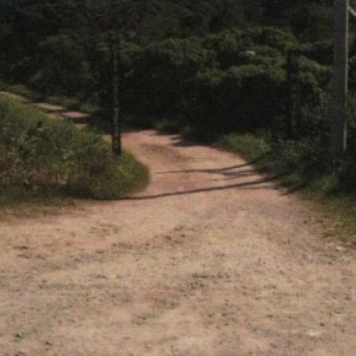 terreno-275428-alq-rodovia-rio-santos-nao-informado-rodovia-rio-santos-bertioga-sp-cep-11250-001