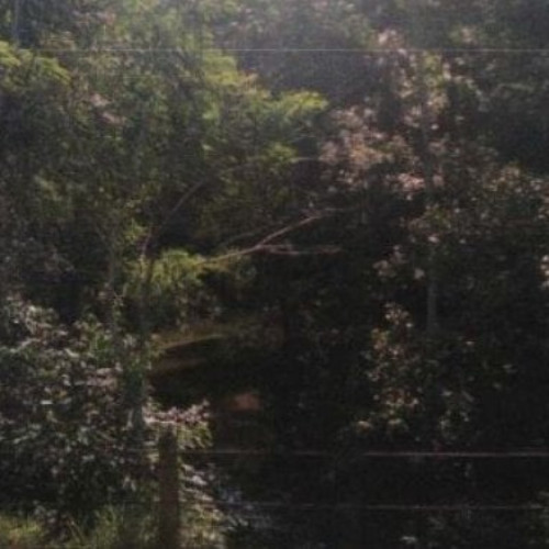terreno-275428-alq-rodovia-rio-santos-nao-informado-rodovia-rio-santos-bertioga-sp-cep-11250-001