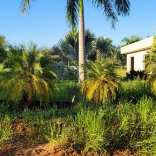 terreno-1-ha-rua-8-21-sitios-de-recreio-vila-bela-ii-marilia-marilia-sp-cep-17500-001