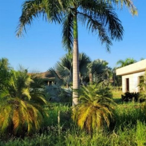 terreno-1-ha-rua-8-21-sitios-de-recreio-vila-bela-ii-marilia-marilia-sp-cep-17500-001