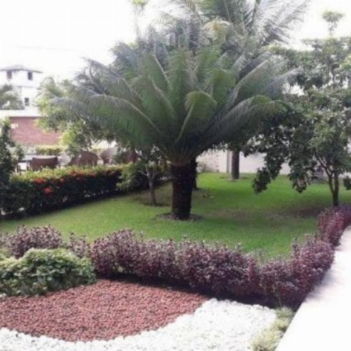 casa-186-alq-372-alq-alameda-alamandas-null-null-porto-coqueiral-ipojuca-pe-cep-55590-000