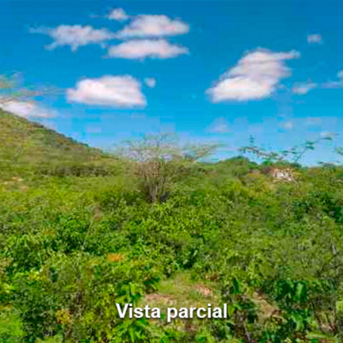 terreno-1-alq-av-projetada-04-lot-cidade-araguaia-lt-unico-da-qd-c-25-dist-pao-de-acucar-taquaritinga-do-norte-pe-cep-55790-000_10448