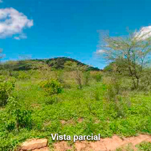 terreno-1278-alq-rua-projetada-23-lot-cidade-araguaia-lt-unico-da-qd-c-13-dist-pao-de-acucar-taquaritinga-do-norte-pe-cep-55790-000_10450