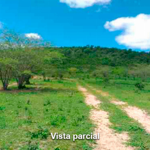 terreno-1278-alq-rua-projetada-23-lot-cidade-araguaia-lt-unico-da-qd-c-13-dist-pao-de-acucar-taquaritinga-do-norte-pe-cep-55790-000_10450
